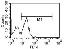 CD14 Antibody