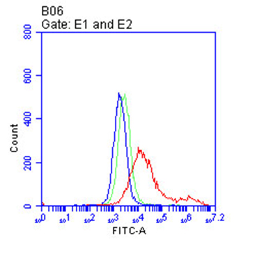 FCGR3A Antibody