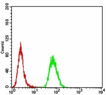 CD168 Antibody