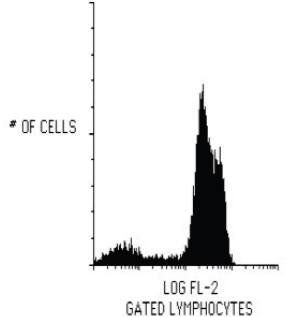 Mouse Human CD2 APC Antibody