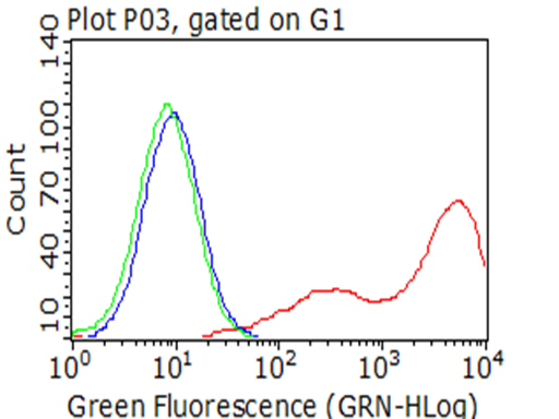 BTLA Antibody