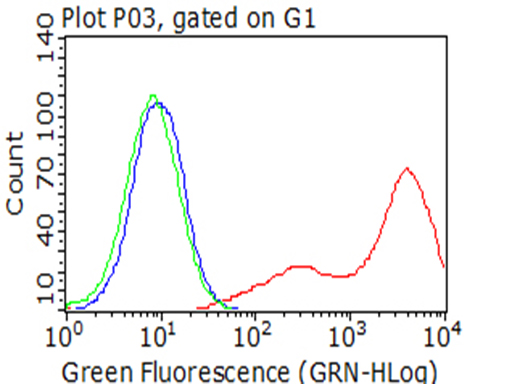 BTLA Antibody