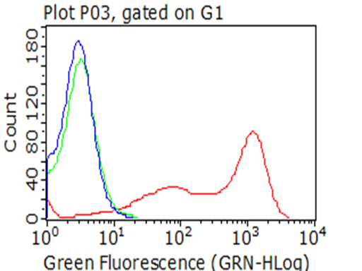 BTLA Antibody