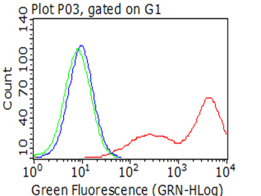 BTLA Antibody