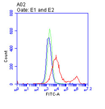 CD28 Antibody