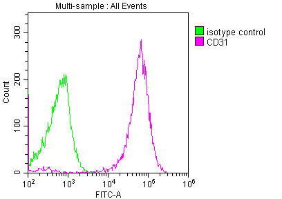 CD31 Monoclonal Antibody