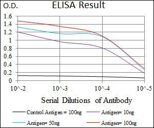 CD33