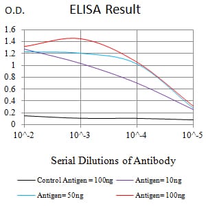 CD364 Antibody