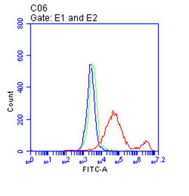 CD38 Antibody