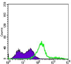 CD3E Antibody