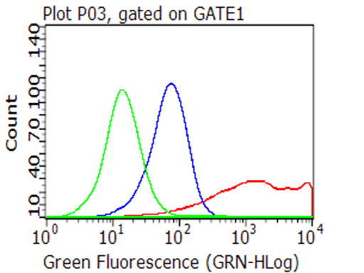 CD40 Antibody
