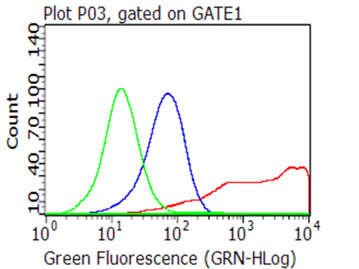 CD40 Antibody