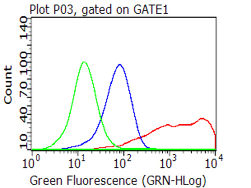 CD40 Antibody