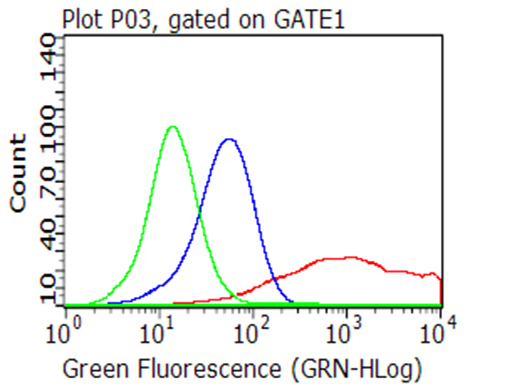 CD40 Antibody