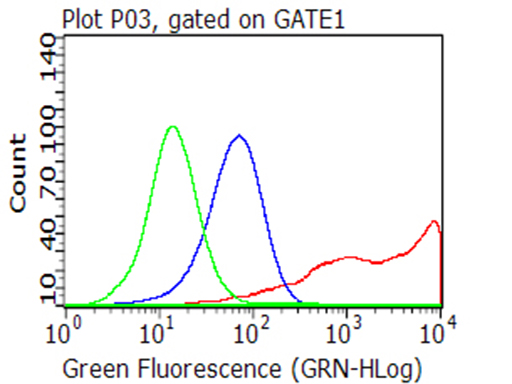 CD40 Antibody