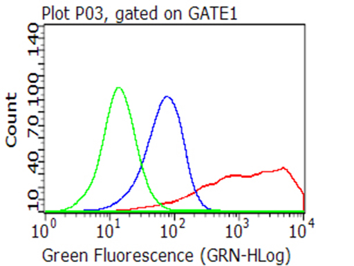 CD40 Antibody