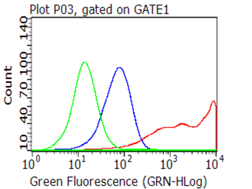 CD40 Antibody
