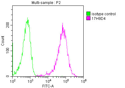 CD45 Monoclonal Antibody