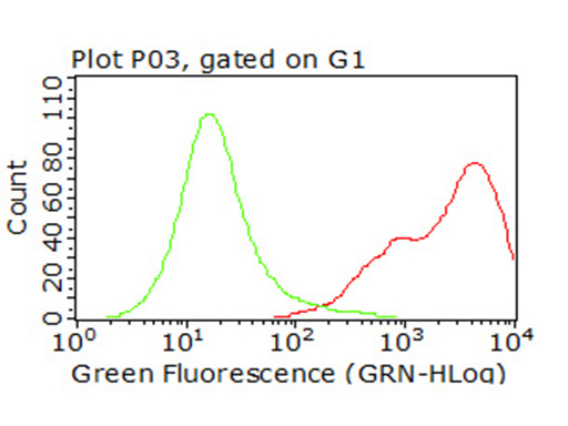 CD47 Antibody