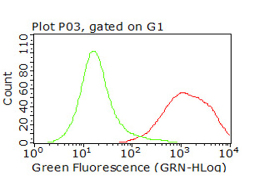 CD47 Antibody
