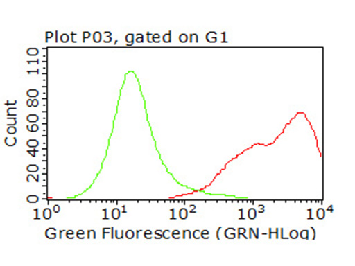 CD47 Antibody