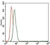 CD59 Antibody