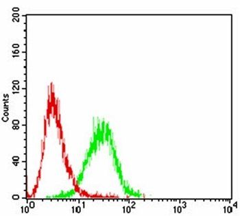 CD6 Antibody