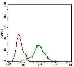 CD68 Antibody