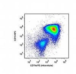 CD79a antibody