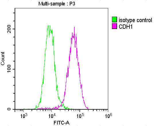 CDH1 Monoclonal Antibody