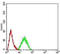 CDH11 Antibody | Biorbyt CDH11 Antibody | Biorbyt