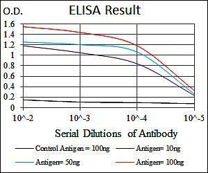 CDK2 Antibody