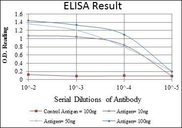 CEA Antibody