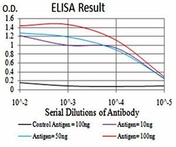 CFHR5 Antibody