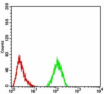 CFHR5 Antibody