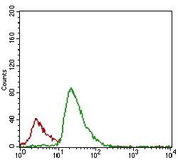 CFLAR Antibody