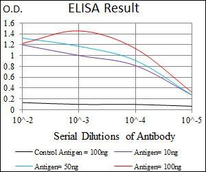 CHGA Antibody