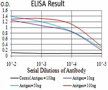 CIDEC Antibody