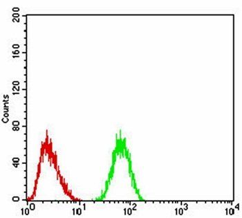 CK5 Antibody