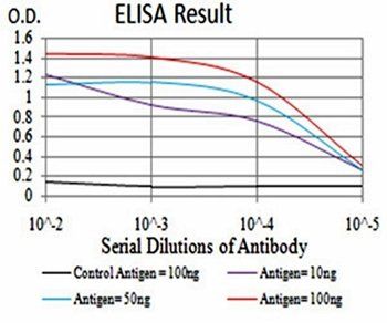 CK5 Antibody