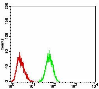 CK5 Antibody