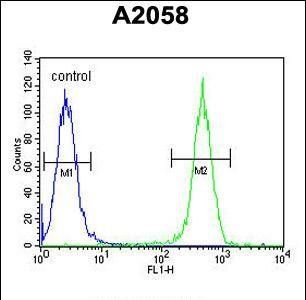 Collagen alpha-1(XVII) chain antibody