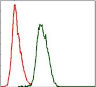 COTL1 Antibody