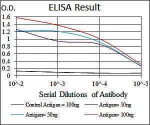 CRP Antibody