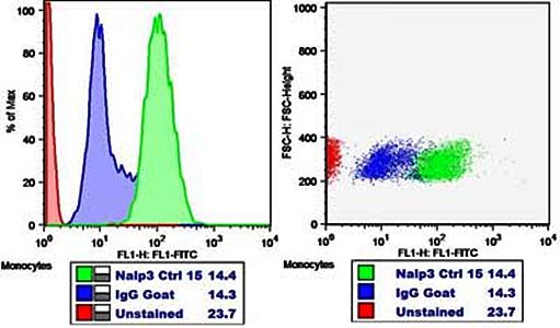 Goat anti-CIAS1 / cryopyrin ( C Terminus) Antibody