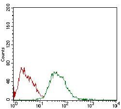 CSF1R Antibody