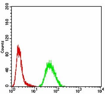 CSF3 Antibody