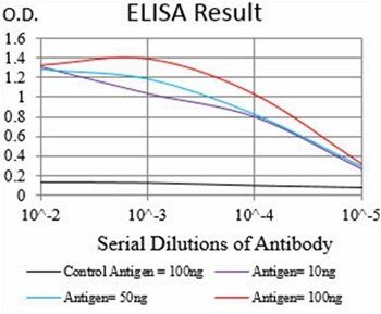 CSNK2B Antibody