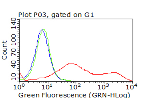 CTLA4 Antibody