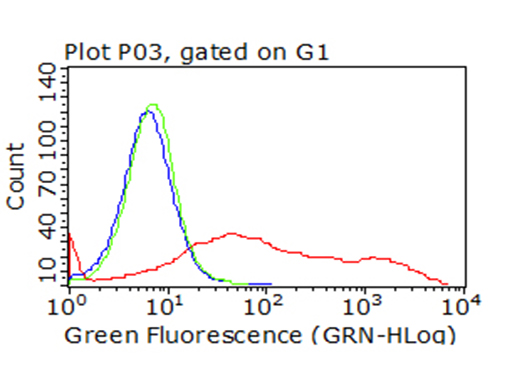 CTLA4 Antibody
